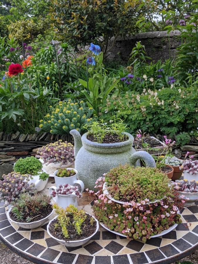 Drumfearne Guesthouse & Tearoom كارادالي المظهر الخارجي الصورة